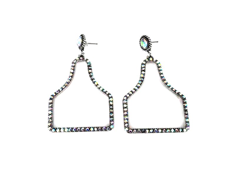 Western AB Stone Cattle Tag Dangle Earring