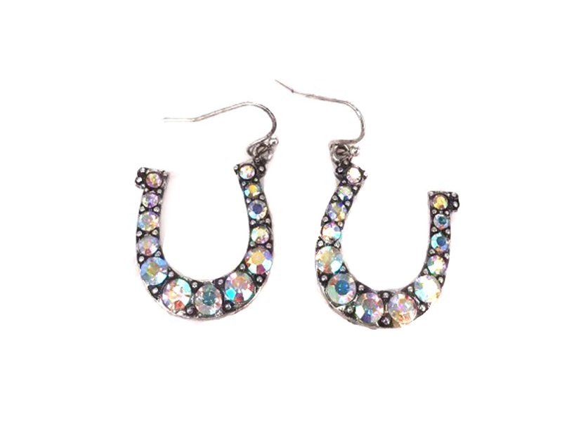 Western Horse Shoe Dangle Earring
